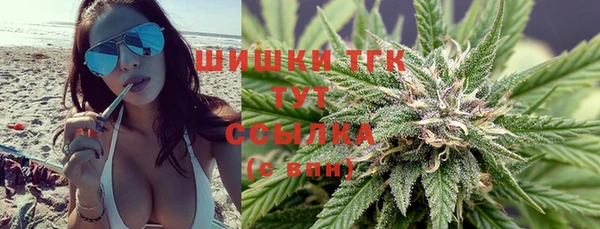 шишки Балахна