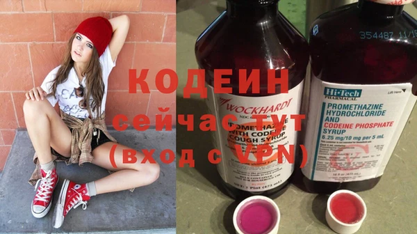 шишки Балахна
